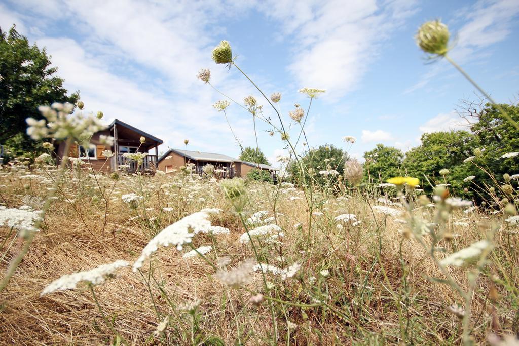 Camping Domaine Vallee Du Tarn Sn Saint-Cirgue Exterior photo